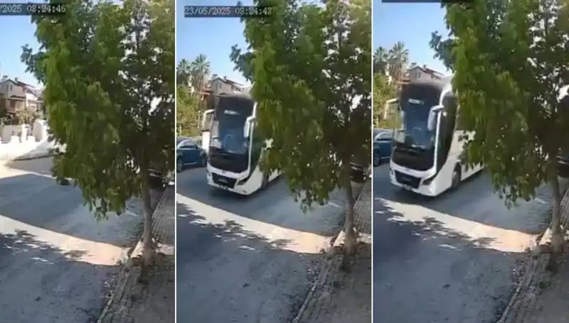 Yolda Yatan Köpeği Ezip Geçen Sürücü Tüm Dikkatleri Üzerine Çekti