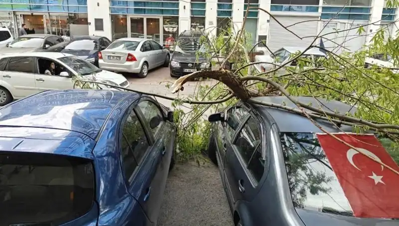 Kayseri'de Fırtına, Ağaçları Devrip Hayatı Felç Etti