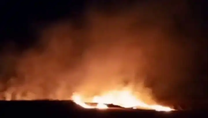 Tekirdağ’da 20 Dekar Buğday Alanı Kül Oldu: Tarım Üzerindeki Etkileri