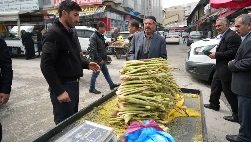 Dağlardan Toplanan Şeker: Sağlık Faydaları ve Sırları