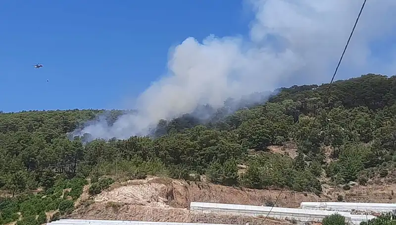Kumluca’da Yangın Rüzgarları: Ormanlar Tutuştu, Biz Neler Yapacağız?