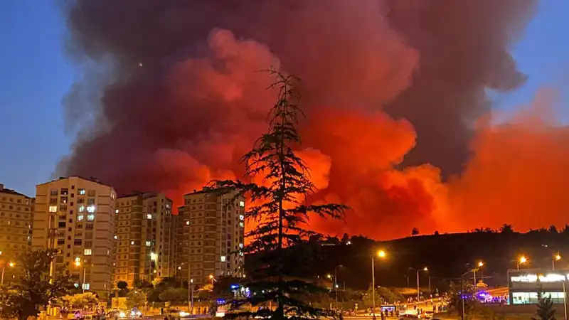 Bursa'nın Yangınları: Şehri Tehdit Eden Alevlerin Nedenleri ve Sonuçları