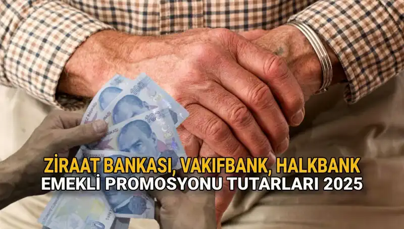 Emekli Promosyonlarında Rekor Artış: Kamu Bankalarının 2025 Teklifleri