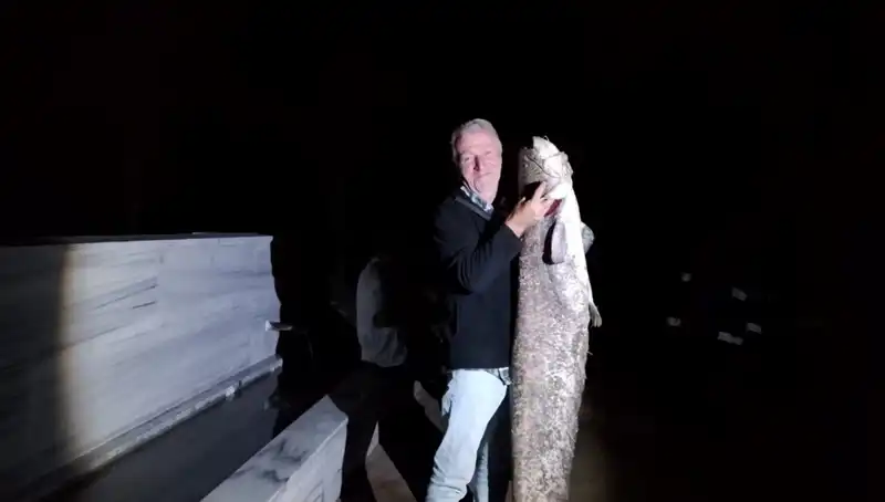 Kınık Barajı'nda Yakalanan 40 Kilo Ağırlığında Dev Balık Şaşırttı