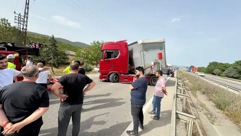 Seyir Halinde Arı Sokması: Şehirde Trafik Kaosu ve Panik Anları!