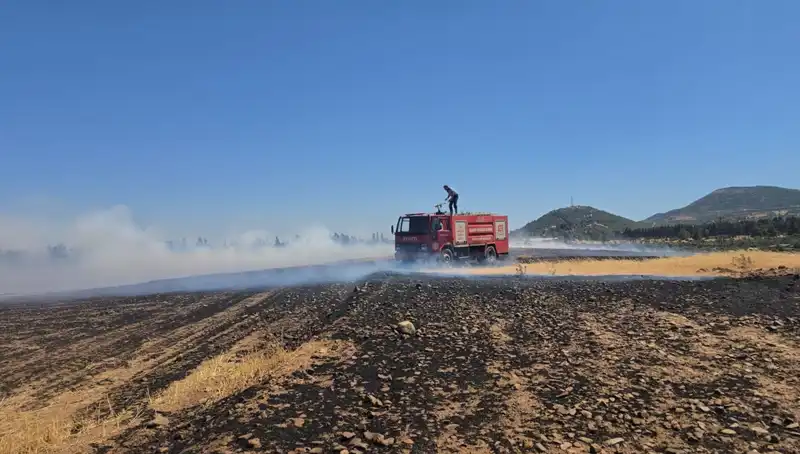 Gaziantep'te Korkutan Anız Yangını: Tarım Alanları Tehlikede!