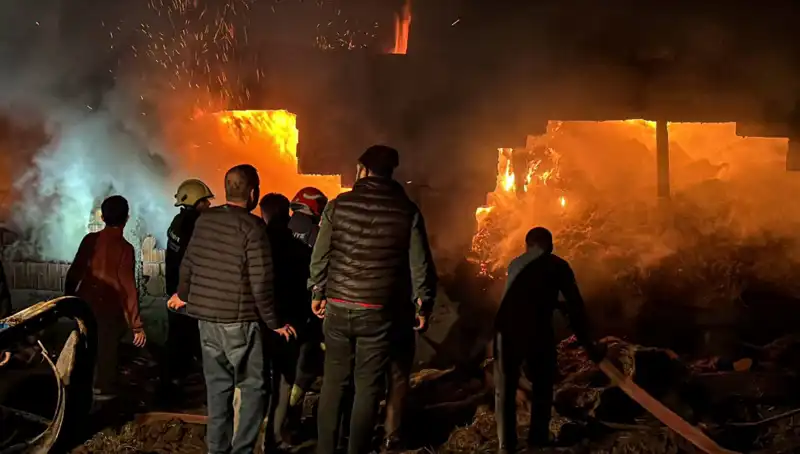 Bolu’da Korkutan Ahır Yangını: Hayvanlar ve Mülk Zarar Gördü