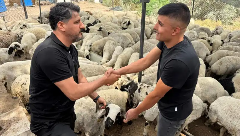 Kurbanlık Koyun Alırken Dikkat Edilmesi Gereken Tuz ve Sumak Tehlikesi