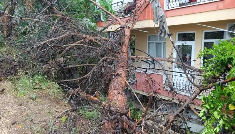 Yağmurun Kurbanı Oldu: Bina, Şiddetli Yağışla Yıkıldı