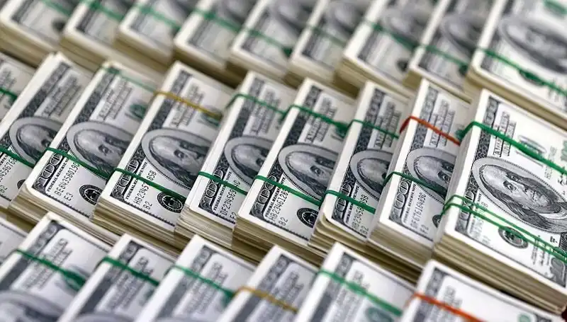 Doların Hızla Yükselişi: Ekonomistler Uyarıyor, Piyasalarda Korku Dalgası!