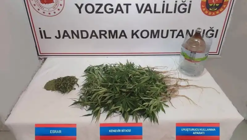 Yozgat’ta Uyuşturucu Ticareti İddiası: 40 Kök Kenevir Ele Geçirildi