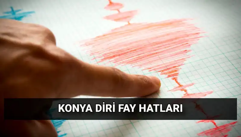 Konya'da Fay Hattı Var mı? Deprem Tehlikesi Hakkında Merak Edilenler