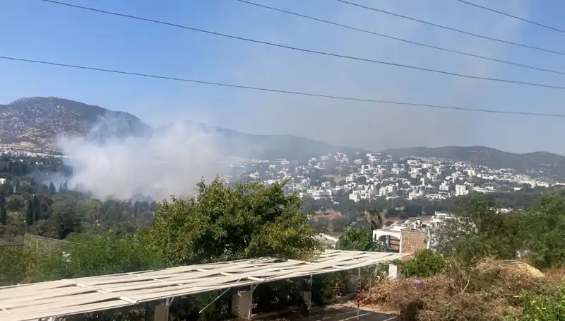 Muğla'daki Orman Yangınları Kontrol Altına Alındı: Zirveye Çıkış Süreci Başlıyor