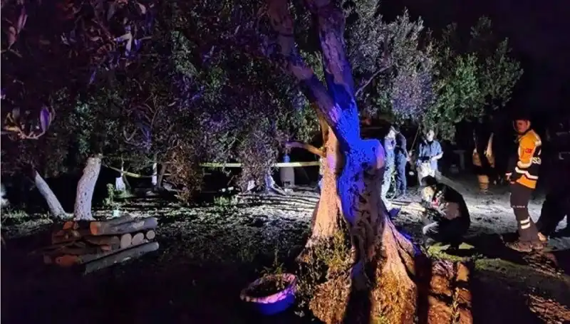 Çiftlikteki Baltalı Vahşet: Bir Tutuklama ve Şok Edici Detaylar