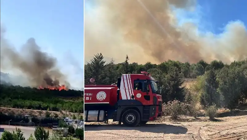 Gebze'de Korkutan Orman Yangını: Ekipler Hızla Müdahale Ediyor