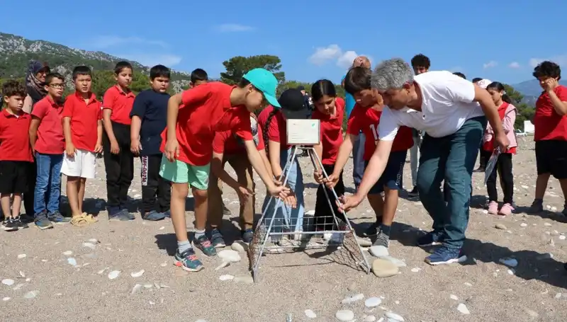 Kemer’de Caretta Caretta Koruma Önlemleri: Yeni Yasaklar ve Uygulamalar
