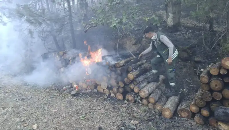 Bursa'da Sıcak Hava ve Kuraklık Tehlikesi: Tarım ve Hayvancılık Krizde!