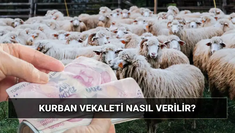 Vekaletle Kurban Kesimi: 2025 İçin Diyanet'in Belirlediği Bedel ve Süreç
