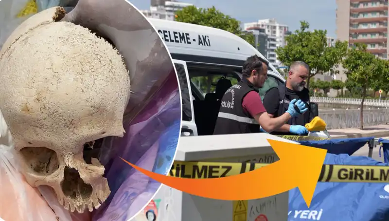 Sitenin Çöpünden Çıkan Kafatası: Uzman Doktor Gözaltında!