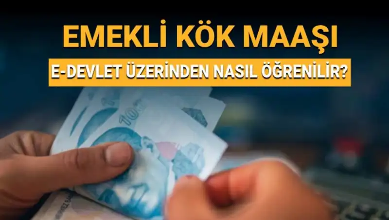 Kök Maaş Nasıl Öğrenilir? Adım Adım Kılavuz